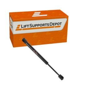 RV Gas Lift Support