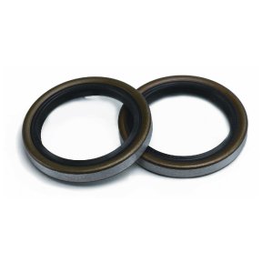 Trailer Wheel Bearing Seal